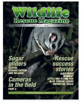 wildlife magazine cover