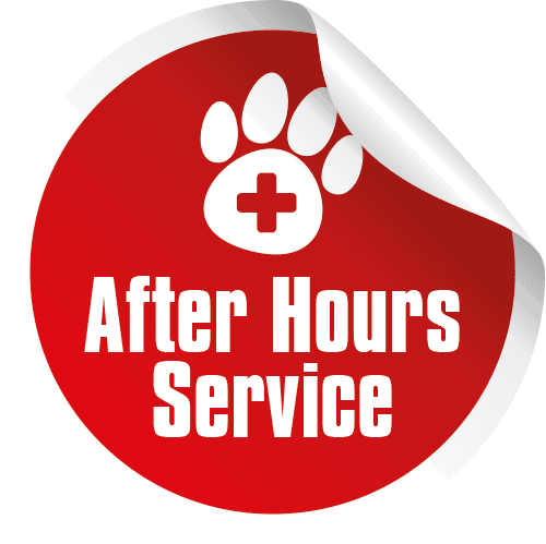 after-hours-services-mossman-veterinary-surgery